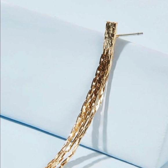 Tassel Drop Earrings - Picture 3 of 4